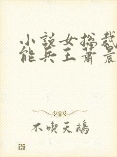 小说女总裁的全能兵王萧晨免费