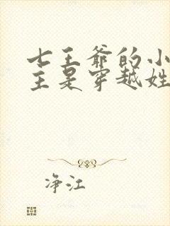 七王爷的小说女主是穿越姓苏