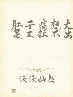 肚子痛想大便但是又拉不出来是什么原因