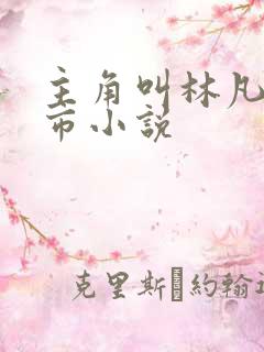 主角叫林凡的都市小说