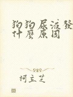 狗狗尿液发黄是什么原因