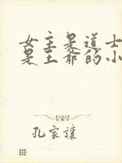 女主是道士男主是王爷的小说