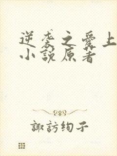 逆袭之爱上情敌小说原著