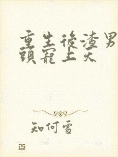 重生后渣男死对头宠上天