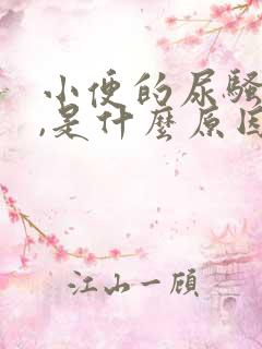 小便的尿骚味大,是什么原因