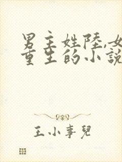 男主姓陆,女主重生的小说