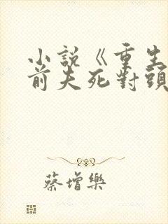 小说《重生嫁给前夫死对头》