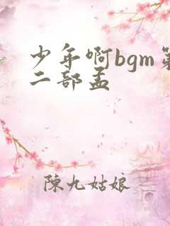 少年啊bgm第二部孟
