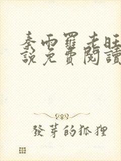 秦雨罗老旺的小说免费阅读