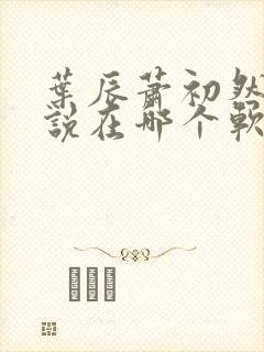 叶辰萧初然的小说在哪个软件看