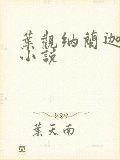 叶观纳兰迦全本小说