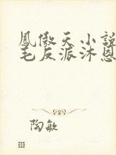 凤傲天小说里黄毛反派沐恩txt下载