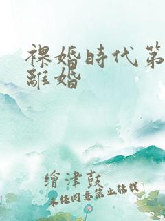 裸婚时代第几集离婚