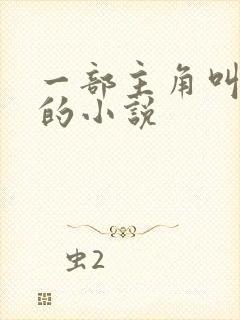 一部主角叫叶凡的小说