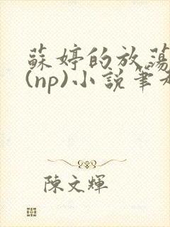 苏婷的放荡生活(np)小说笔趣阁