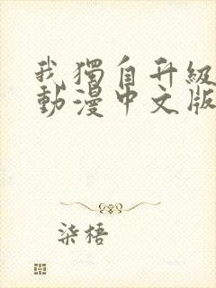 我独自升级高清动漫中文版