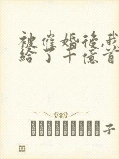 被催婚后,我嫁给了千亿首富