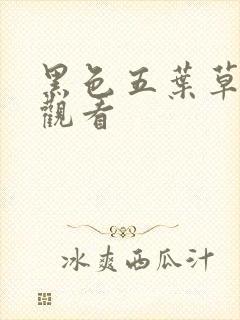黑色五叶草免费观看