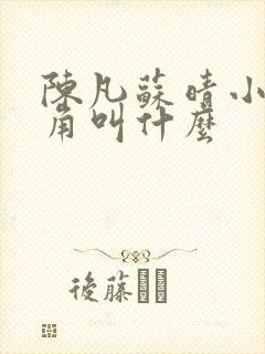 陈凡苏晴小说主角叫什么