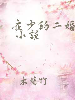 夜少的二婚新妻 小说