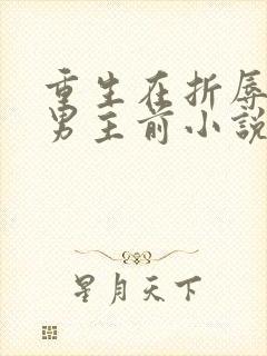 重生在折辱清冷男主前小说