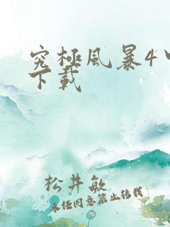 究极风暴4中文下载