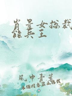 肖晨女总裁的全能兵王