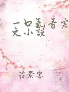 一口气看完的爽文小说