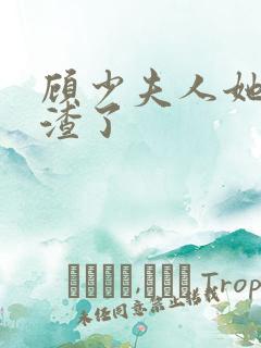 顾少夫人她又虐渣了