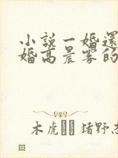 小说一婚还比一婚高晨雾的光