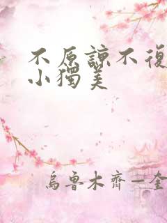 不原谅不复合苏小独美