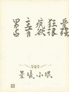 男主疯狂爱女主占有欲很强的小说