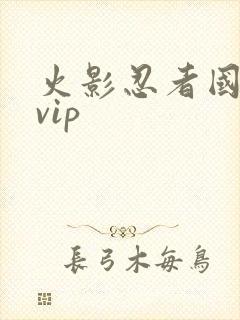 火影忍者国语版vip