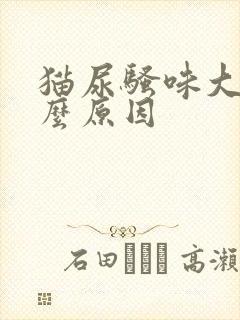 猫尿骚味大是什么原因