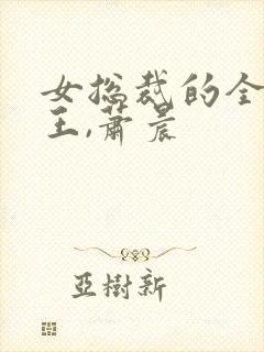 女总裁的全能兵王,萧晨