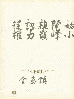 从认亲开始踏上权力巅峰小说下装电子书