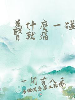 为什么一碰睾丸肾就痛