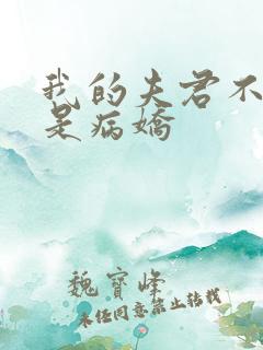 我的夫君不可能是病娇