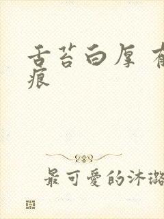 舌苔白厚 有齿痕