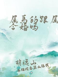 属马的跟属兔的合婚吗