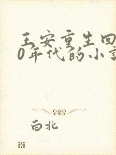 王安重生回到80年代的小说