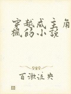 穿越成主角叫叶枫的小说