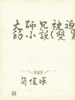 大师兄被迫承欢的小说(双男主)