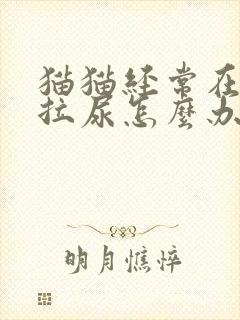 猫猫经常在床上拉尿怎么办