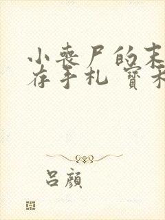 小丧尸的末世生存手札 宝禾先生