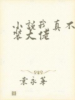 小说我真不是女装大佬