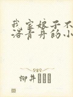 我家娘子不对劲洛青舟的小说