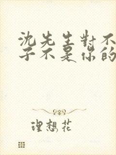 沈先生对不起孩子不是你的短剧免费观看