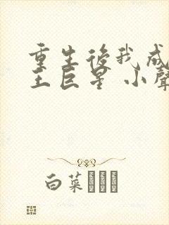 重生后我成了天王巨星 小声滴滴