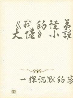 《我的徒弟都是大佬》小说